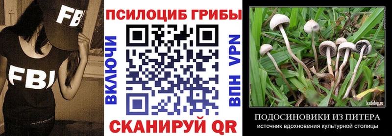 мега как войти  Калязин  Галлюциногенные грибы Magic Shrooms  купить  сайты 
